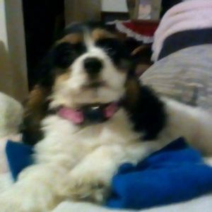 Meet your Posher, Jordan